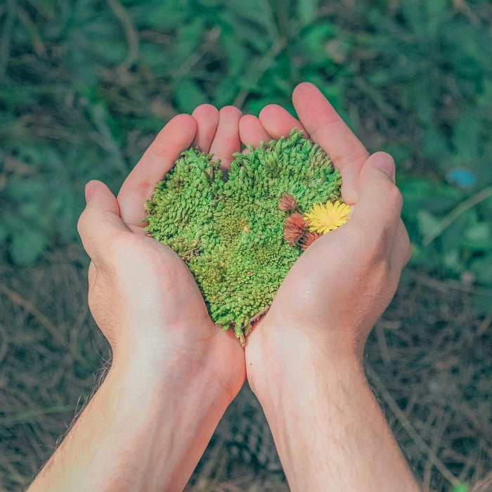 Impact environnemental des crèmes SPF