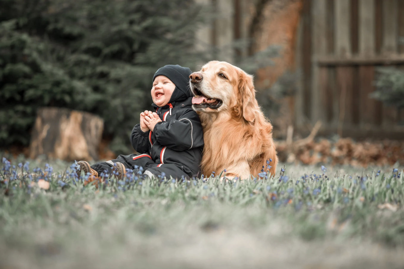 Avoir un animal de compagnie : pourquoi c'est bénéfique au bon développement des enfants ?