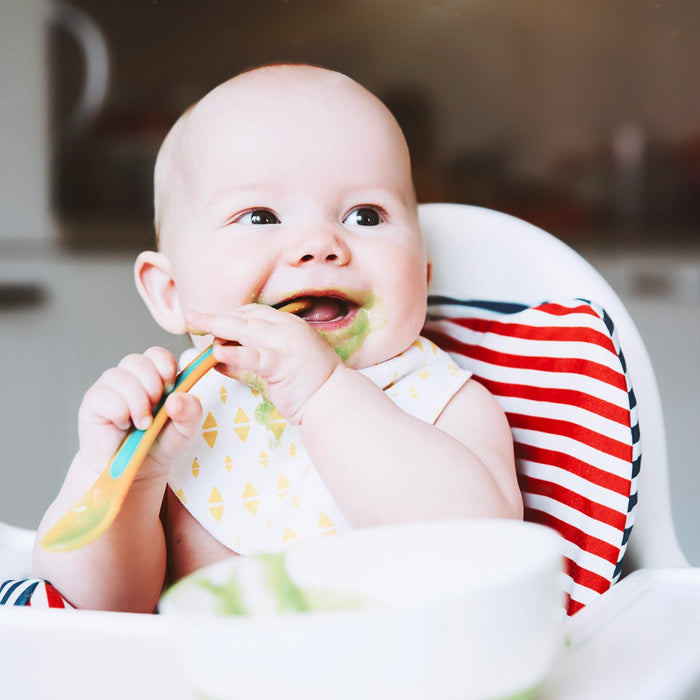 recette poisson bebe
