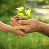 Quelles activités faire en famille au printemps ?