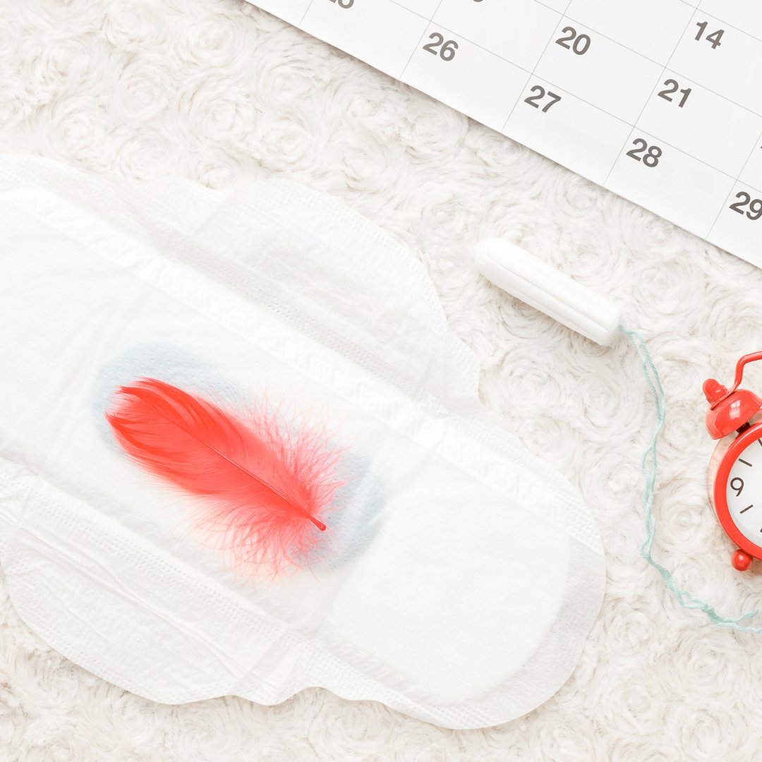 serviette hygienique bio